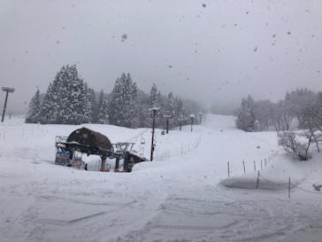 さかえ倶楽部スキー場に投稿された画像（2022/2/4）