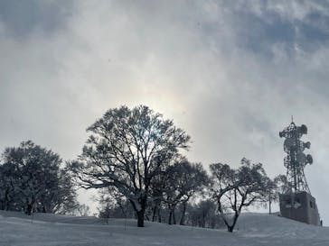 野沢温泉スキー場に投稿された画像（2022/2/4）