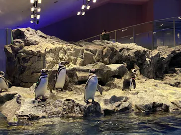 すみだ水族館に投稿された画像（2022/2/4）