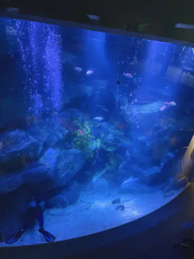 すみだ水族館に投稿された画像（2022/2/4）