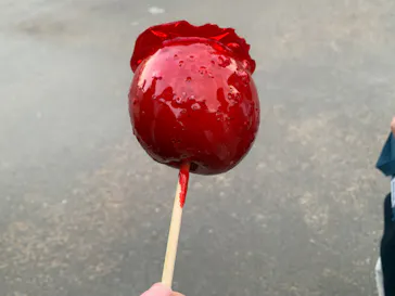 西武園ゆうえんちに投稿された画像（2022/2/4）