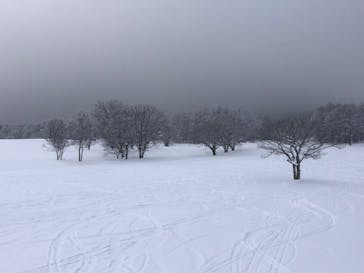 黒姫ライジングサンホテルに投稿された画像（2022/2/4）