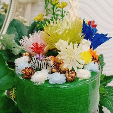 ずこうしつ〜sugamo〜に投稿された画像（2022/2/4）