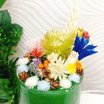 ずこうしつ〜sugamo〜に投稿された画像（2022/2/4）