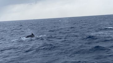 マリンクラブ ベリー 那覇店に投稿された画像（2022/2/5）