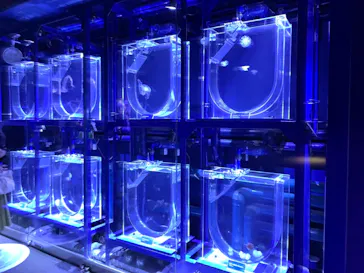 すみだ水族館に投稿された画像（2022/2/5）