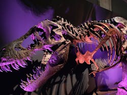 ティラノサウルス展 ～Ｔ. rex 驚異の肉食恐竜～（名古屋市科学館）に投稿された画像（2022/2/5）