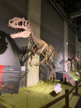 ティラノサウルス展 ～Ｔ. rex 驚異の肉食恐竜～（名古屋市科学館）に投稿された画像（2022/2/5）