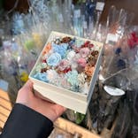 ずこうしつ〜sugamo〜に投稿された画像（2022/2/5）