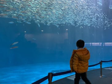 名古屋港水族館に投稿された画像（2022/2/5）