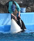 名古屋港水族館に投稿された画像（2022/2/5）