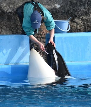 名古屋港水族館に投稿された画像（2022/2/5）