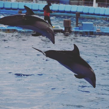 名古屋港水族館に投稿された画像（2022/2/5）