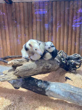 神戸どうぶつ王国に投稿された画像（2022/2/5）