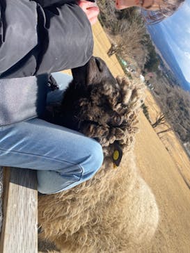 まかいの牧場に投稿された画像（2022/2/5）