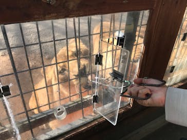 秋吉台自然動物公園 サファリランドに投稿された画像（2022/2/5）