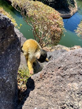 伊豆シャボテン動物公園に投稿された画像（2022/2/5）
