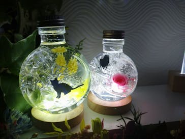 ずこうしつ〜sugamo〜に投稿された画像（2022/2/5）