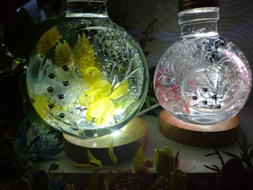 ずこうしつ〜sugamo〜に投稿された画像（2022/2/5）