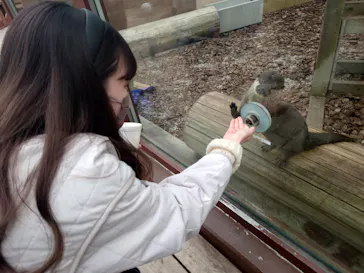 横浜・八景島シーパラダイスに投稿された画像（2022/2/5）