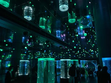 マクセル アクアパーク品川に投稿された画像（2022/2/5）