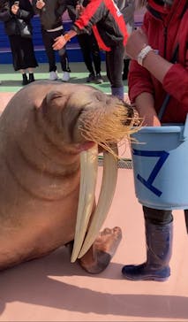 ゼロ距離水族館 伊勢シーパラダイスに投稿された画像（2022/2/5）