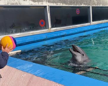 ゼロ距離水族館 伊勢シーパラダイスに投稿された画像（2022/2/5）