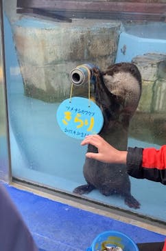 ゼロ距離水族館 伊勢シーパラダイスに投稿された画像（2022/2/5）