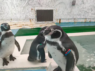 天王寺動物園に投稿された画像（2022/2/5）