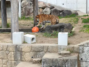 天王寺動物園に投稿された画像（2022/2/5）