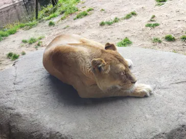 天王寺動物園に投稿された画像（2022/2/5）