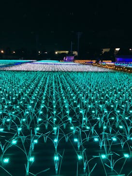 東京メガイルミに投稿された画像（2022/2/5）