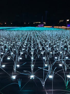 東京メガイルミに投稿された画像（2022/2/5）