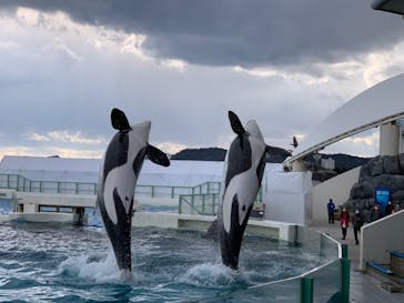 鴨川シーワールドに投稿された画像（2022/2/5）
