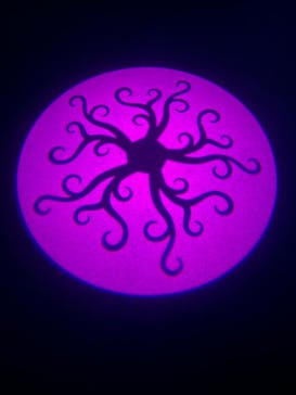 サンシャイン水族館に投稿された画像（2022/2/5）