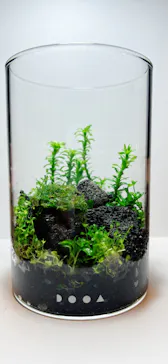 すみだ水族館に投稿された画像（2022/2/5）