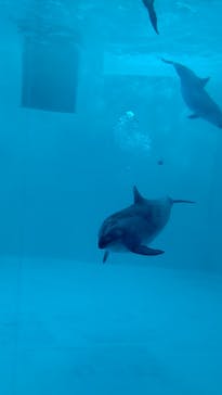 名古屋港水族館に投稿された画像（2022/2/5）