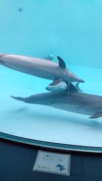 名古屋港水族館に投稿された画像（2022/2/5）