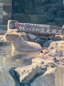 伊豆シャボテン動物公園に投稿された画像（2022/2/5）