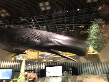 国立科学博物館に投稿された画像（2022/2/5）