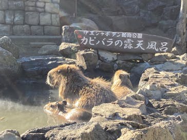 伊豆シャボテン動物公園に投稿された画像（2022/2/5）