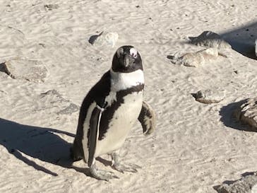 伊豆シャボテン動物公園に投稿された画像（2022/2/5）