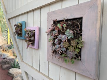 伊豆シャボテン動物公園に投稿された画像（2022/2/5）