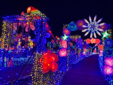 伊豆ぐらんぱる公園に投稿された画像（2022/2/5）