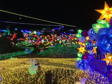 伊豆ぐらんぱる公園に投稿された画像（2022/2/5）