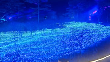 KYOTO ILLUMINATION SYNESTHESIA HILLS るり渓温泉に投稿された画像（2022/2/5）