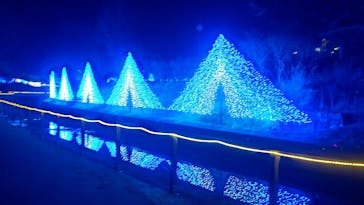 KYOTO ILLUMINATION SYNESTHESIA HILLS るり渓温泉に投稿された画像（2022/2/5）