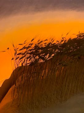 星の王子さまミュージアム 箱根サン=テグジュペリに投稿された画像（2022/2/5）