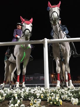 東京メガイルミに投稿された画像（2022/2/5）