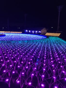 東京メガイルミに投稿された画像（2022/2/5）